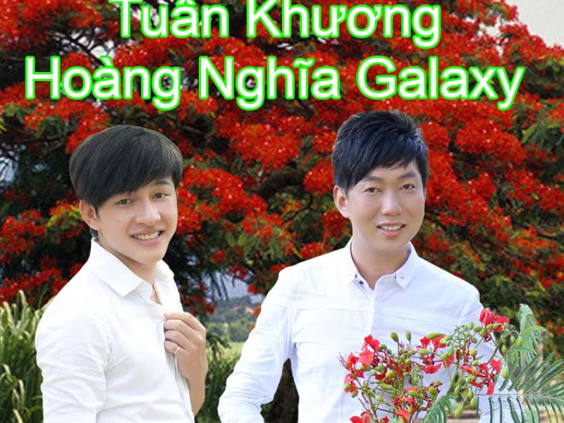 Nỗi Buồn Hoa Phượng