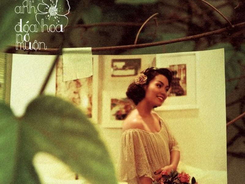 Đóa Hoa Nở Muộn