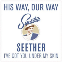 I've Got You Under My Skin (Cover)