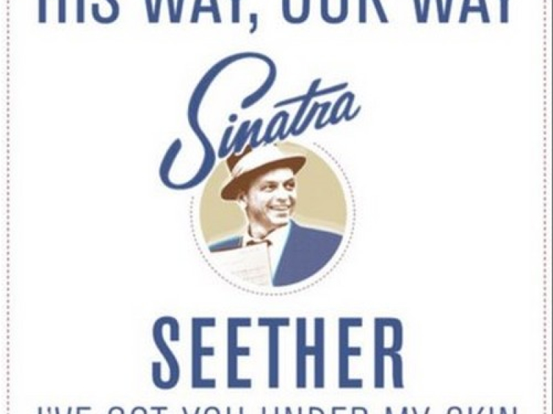 I've Got You Under My Skin (Cover)