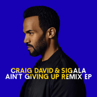 Ain’t Giving Up (Remixes) (EP)