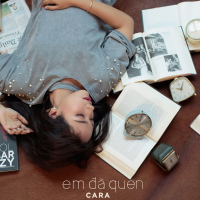 Em Đã Quen (Single)