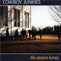 The Caution Horses 