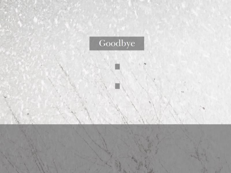 Goodbye (Single)