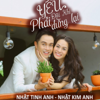 Yêu Đôi Khi Phải Dừng Lại (Single)