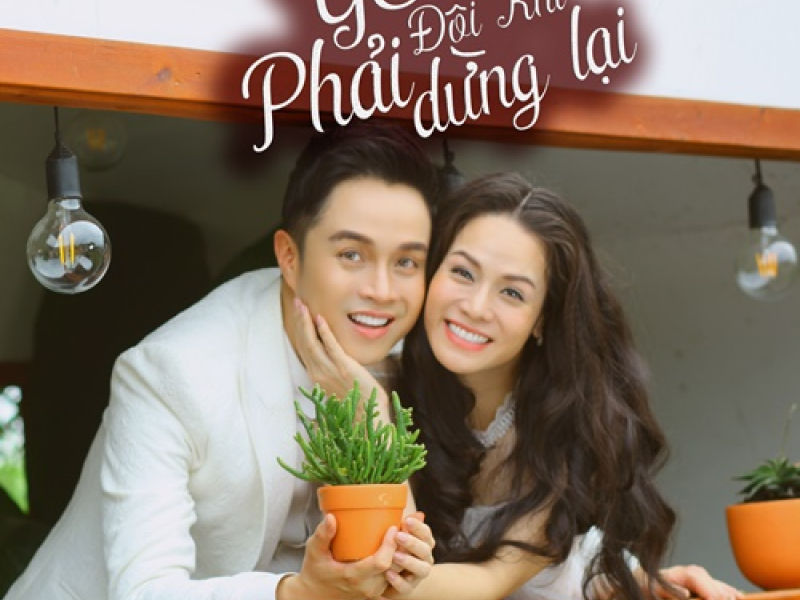 Yêu Đôi Khi Phải Dừng Lại (Single)