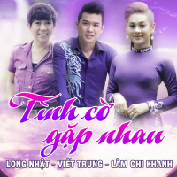 Tình Cờ Gặp Nhau