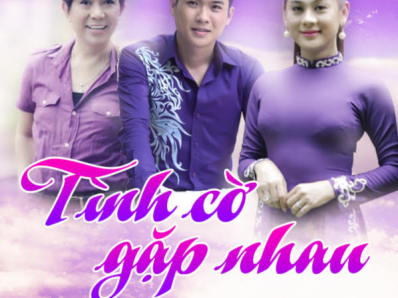 Tình Cờ Gặp Nhau