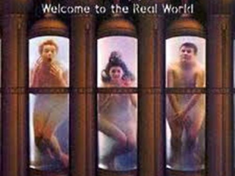 Welcome To The Real World