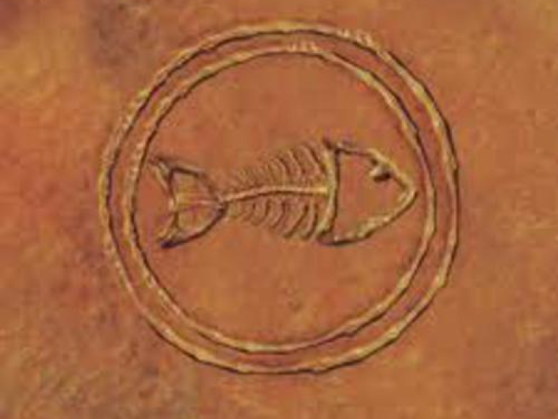 Fishbone 101- Nuttasaurusmeg Fossil Fuelin' The Fonkay (CD1)