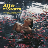 After The Storm (Single)