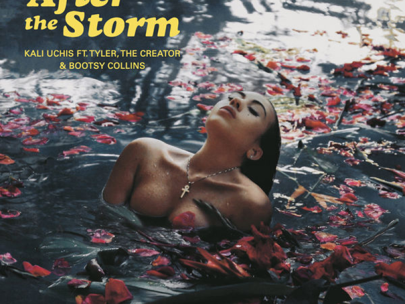 After The Storm (Single)