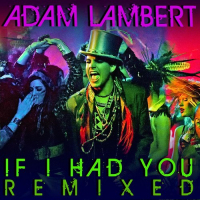 If I Had You (Single)