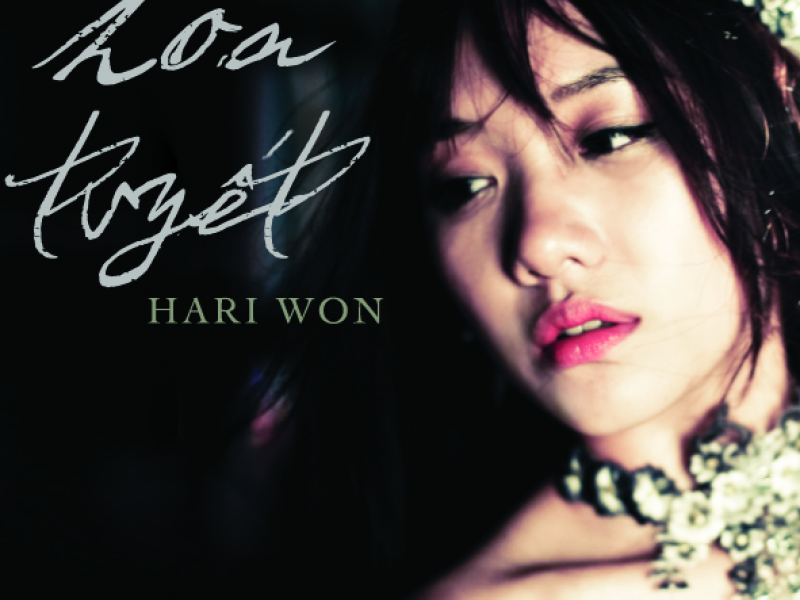 Hoa Tuyết (Single)