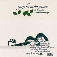 Độc Tấu Guitar Tình Khúc Trịnh Công Sơn (Góp Lá Mùa Xuân)