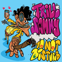 Do Not Disturb (Single)