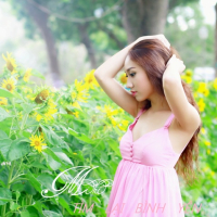 Tìm Lại Bình Yên