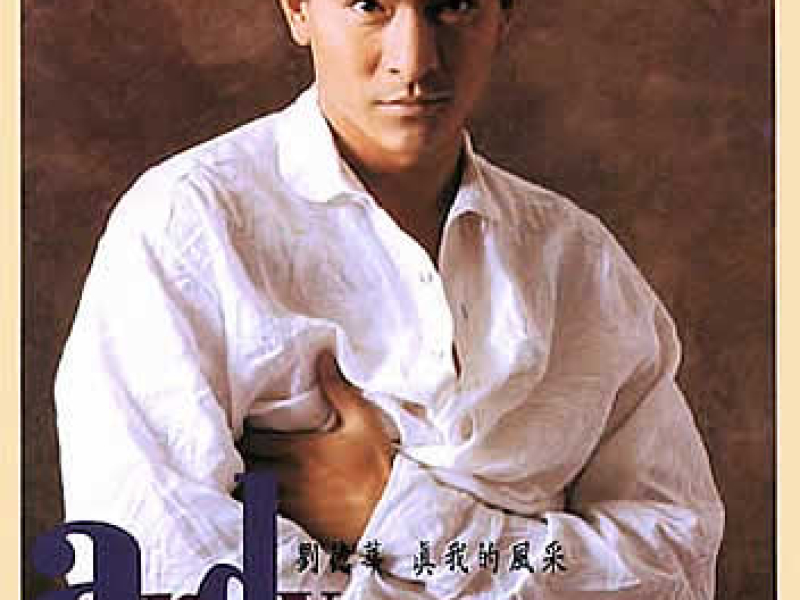 真我的风采/  Phong Thái Của Tôi 