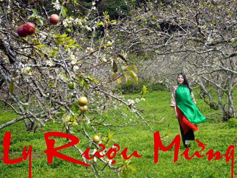 Ly Rượu Mừng (Single)