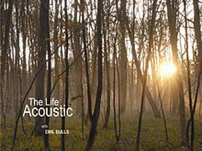 The Life Acoustic