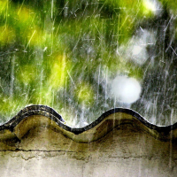 Mưa Trên Quê Hương