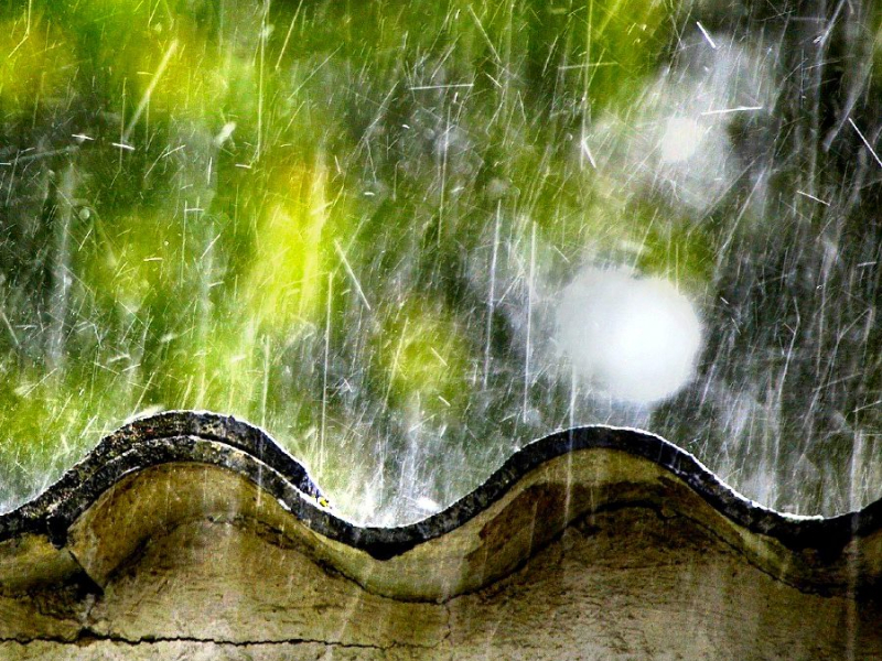 Mưa Trên Quê Hương