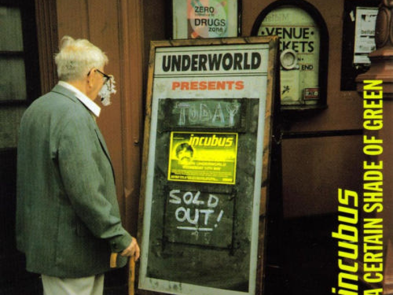 A Certain Shade Of Green