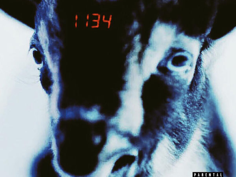 1134 (Single)