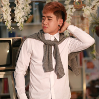 Cần Một Câu Trả Lời