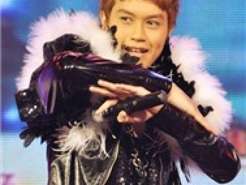 Vũ Điệu Cuồng Say Collection