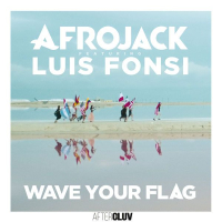 Wave Your Flag (Single)