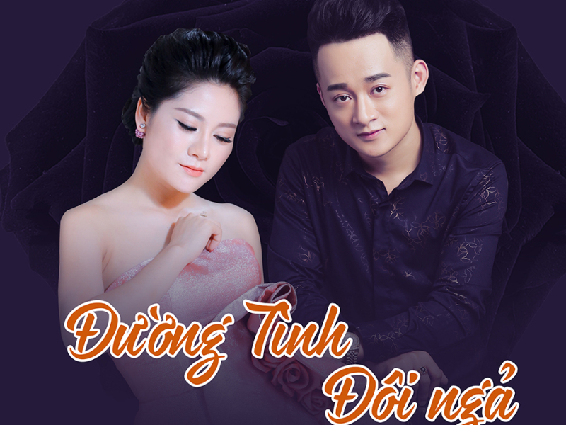 Đường Tình Đôi Ngả (Single)
