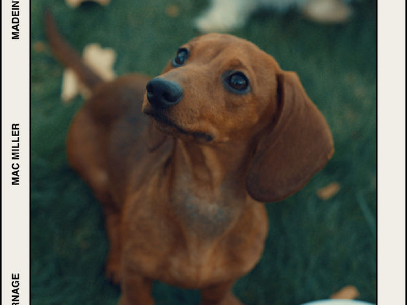 Learn How To Watch (Single)