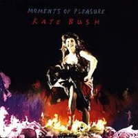 Moments of Pleasure 12 inch vinyl