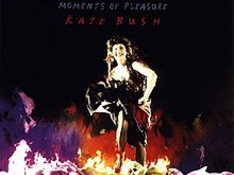 Moments of Pleasure 12 inch vinyl