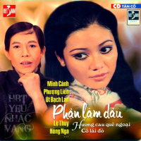 Tân Cổ Giao Duyên - Phận Làm Dâu