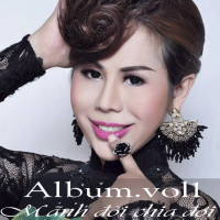 Mảnh Đời Chia Đôi