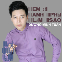 Em Ơi Anh Phải Làm Sao (Single)