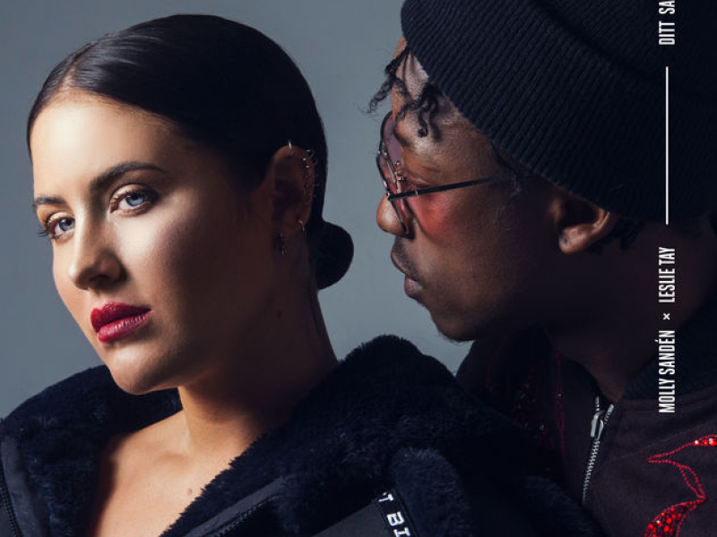 Ditt Sanna Jag (Single)