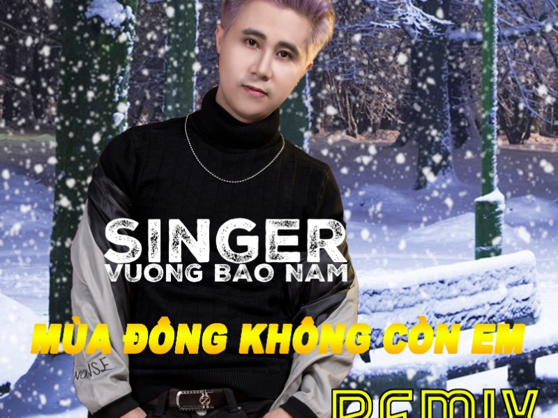 Mùa Đông Không Còn Em (Remix) (Single)