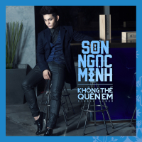 Không Thể Quên Em (Single)