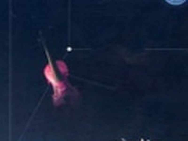 Nửa Đêm Ngoài Phố