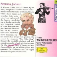 Strauss Waltzes And Polkas