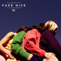 Fake Nice (Single)