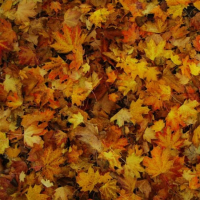 EP (2011 Re-Release) (EP)