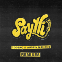 Say Hi Remixes (Single)