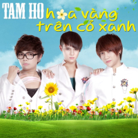 Hoa Vàng Trên Cỏ Xanh