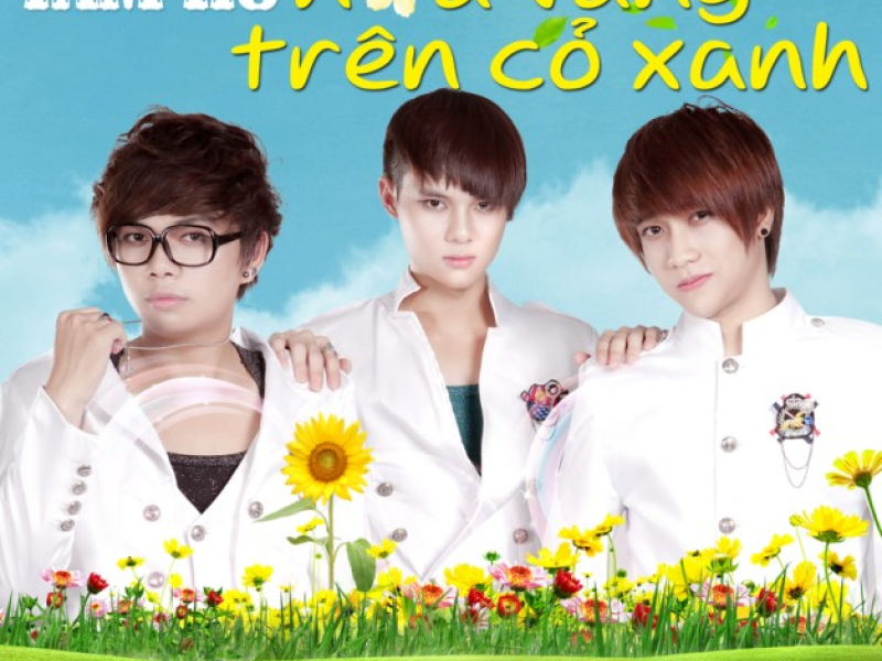 Hoa Vàng Trên Cỏ Xanh