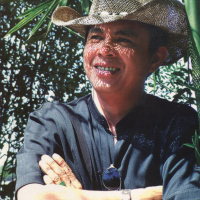 Mùa Hè Kỷ Niệm (NS Lâm Anh Hải)