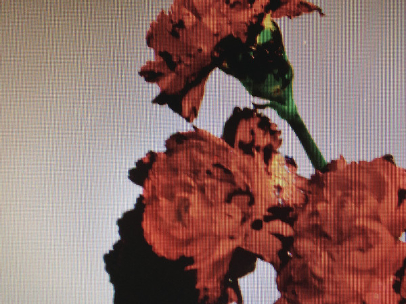 Made To Love (Remixes) - Single